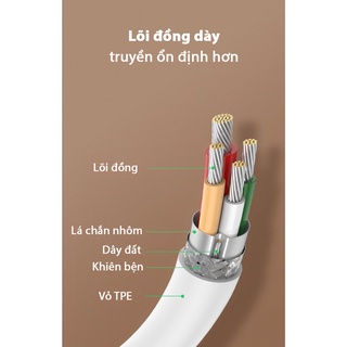 Cáp sạc type C to type C Hàng Bagi chính hãng PD-C100