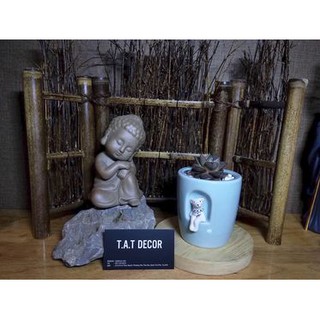 Chậu sứ trồng cây hình thú siêu xinh xắn