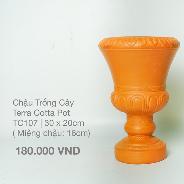 Cup Trồng Cây Đất Nung / Terra Cotta Pot  - TC107