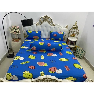 Bộ ga thun❤️Freeship❤️drap giường trái dâu 4 món
