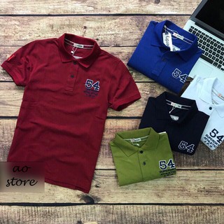 Áo thun nam COTTON cá sấu Dry