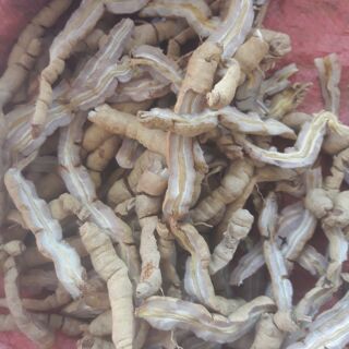 Ba kích tím quảng ninh loại 1