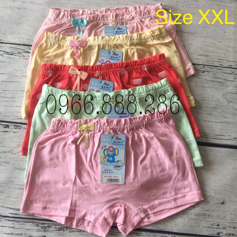 Combo 5 quần chíp đùi bé gái