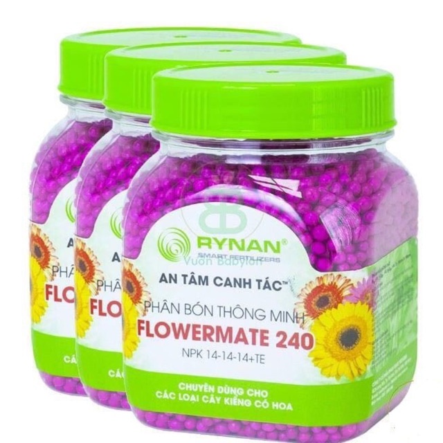 Phân Tan Chậm RYNAN, Phân NPK 240 - 230 - 200 (hủ 150g)