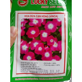 HOA DỪA CẠN HỒNG (VINCA)