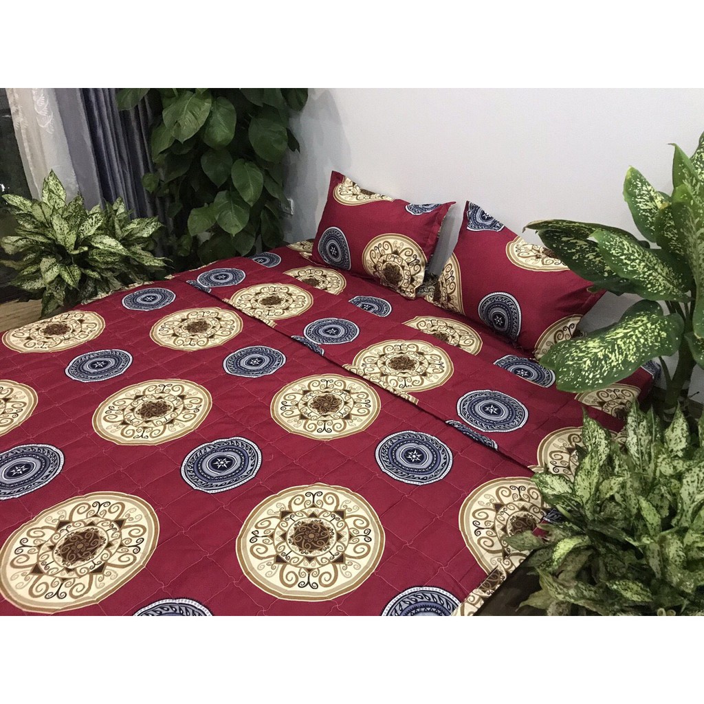 Bộ ga chun và 2 áo gối nằm Emmidecor - mẫu đồng tiền đỏ, drap cotton poly