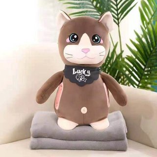 Bộ chăn gối văn phòng FHC689