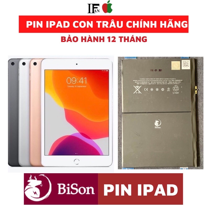 Pin Bison Con Trâu Máy Tính Bảng Pro/Air/Mini 1/2/3/4/5/6