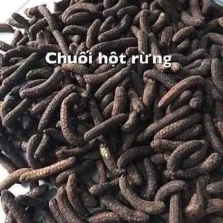 Chuối hột rừng Đắc Lắc