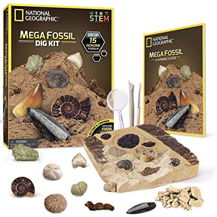 ĐỒ CHƠI KHẢO CỔ HỌC 15 HÓA THẠCH (NATIONAL GEOGRAPHIC MEGA FOSSIL DIG KIT) ĐỒ CHƠI THÍ NGHIỆM KHOA HỌC SÁNG TẠO CHO BÉ