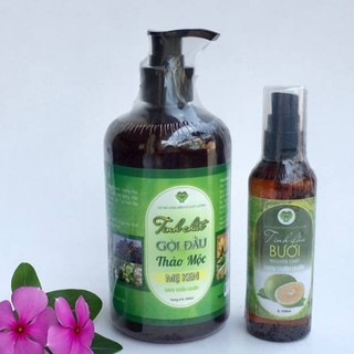 TINH CHẤT GỘI ĐẦU THẢO MỘC MẸ KEN (500ML)