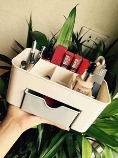 Kệ mỹ phẩm lúa mạch