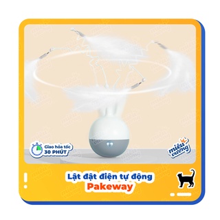Đồ chơi lật đật lông vũ tự động chạy pin