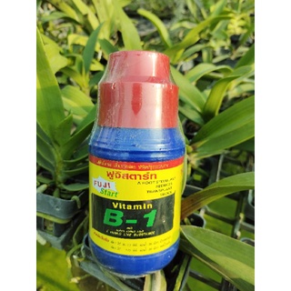 Thuốc kích rễ vitamin B1 star-thái lan 500ml