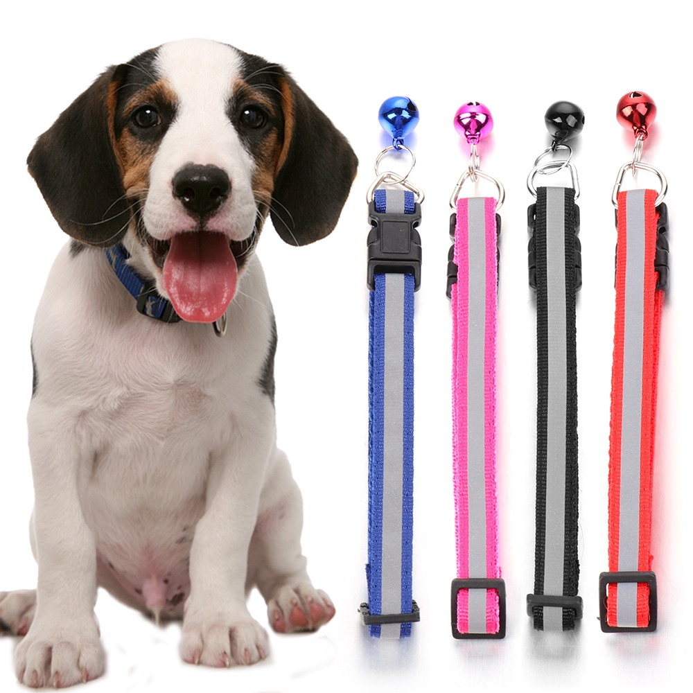 Vòng Cổ Nylon Cho Thú Cưng