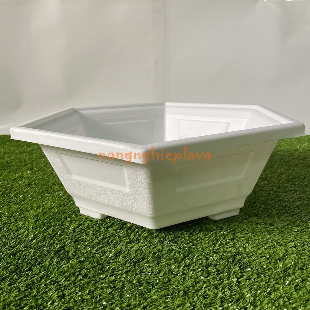 5 Chậu Lục Giác 32x12cm Trồng Cây, Hoa Kiểng (Combo 5 Chậu)