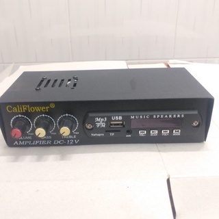 Ampli mini CaliFlower DC 12V, USB, có bluetooth