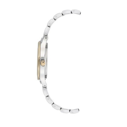 Đồng hồ đeo tay nữ Anne Klein AK/3491SVTT