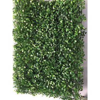 Giảm Giá SHOCK COMBO 10 TẤM cỏ cải xoong nhân tạo 40x60cm