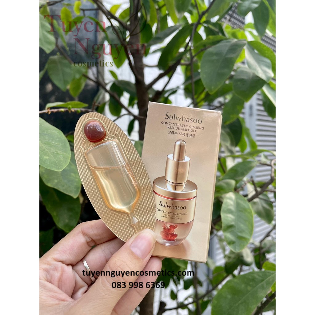 Mini Tinh chất nhân sâm cô đặc Sulwhasoo Concentrated Ginseng Rescue Ampoule mini 3.5g