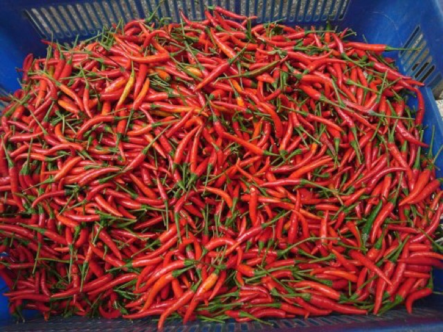 500GRAM/1KG KHÔ GÀ LOẠI NGON [LÁ CHANH+BƠ TỎI+SẢ ỚT+TỎI ỚT+CAY TRUYỀN THỐNG] CÓ GIẤY KIỂM ĐỊNH VSATTP | BigBuy360 - bigbuy360.vn