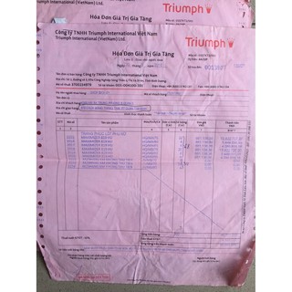 Áo Ngực Triumph Maxi 819 (HQ-VN)