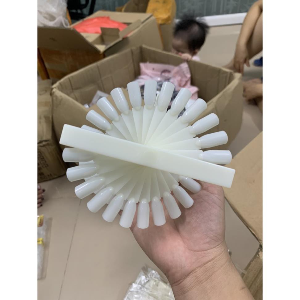 Móng sơn mẫu hình quạt 36 màu