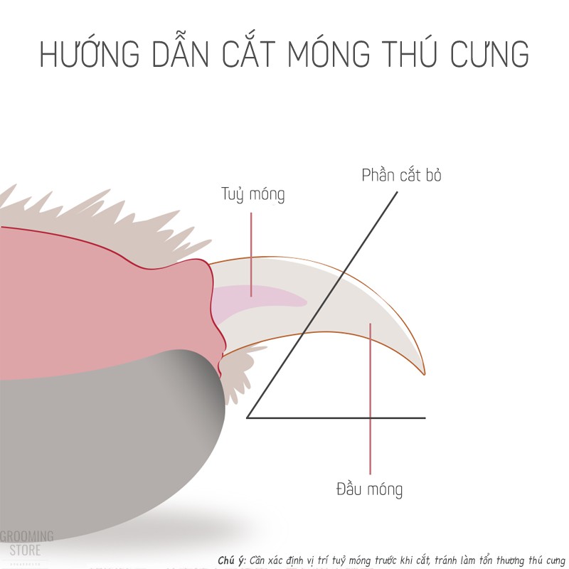 Kìm cắt móng chó mèo tặng kèm dũa   - Grooming Store