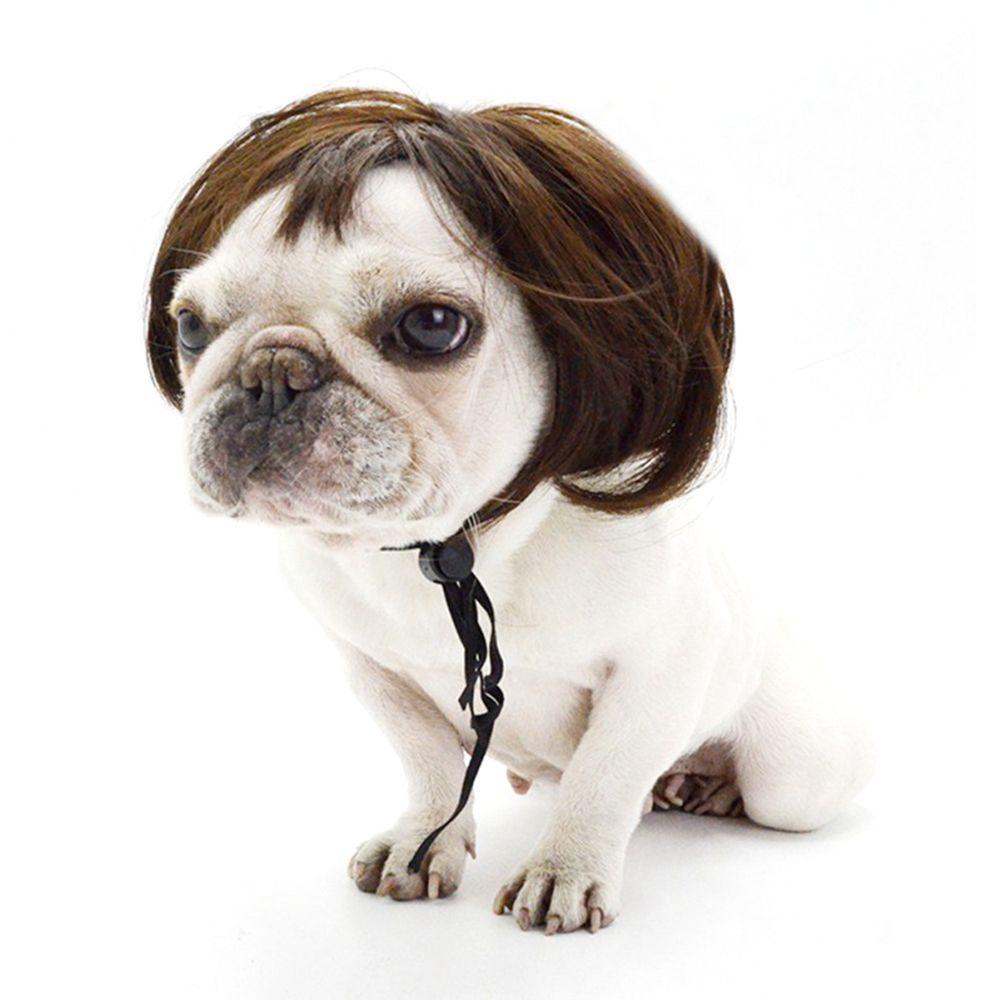 Bộ Tóc Giả + Mũ Dùng Hóa Trang Halloween Cho Thú Cưng