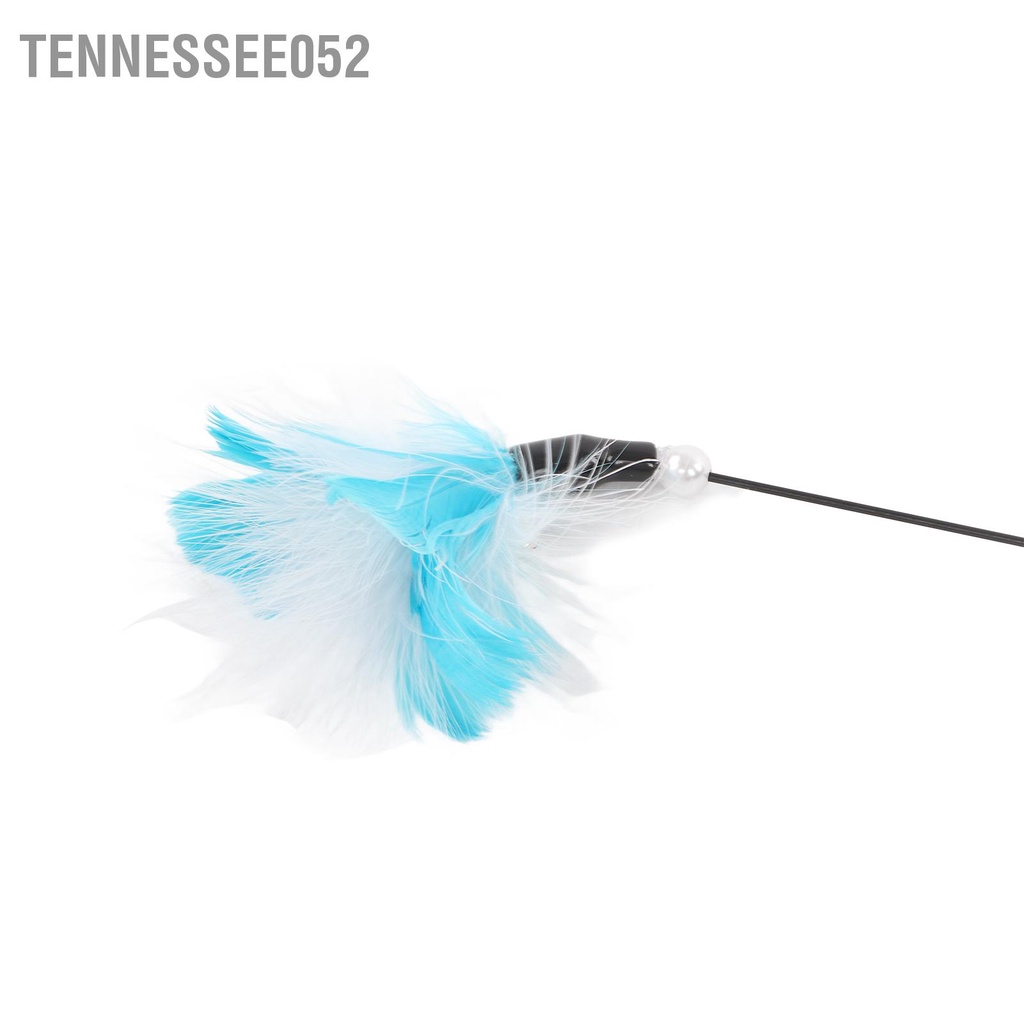 Tennessee052 Tách hút lông vũ mèo tương tác Gậy chọc ghẹo có chuông để con trong nhà tập thể dục cho già