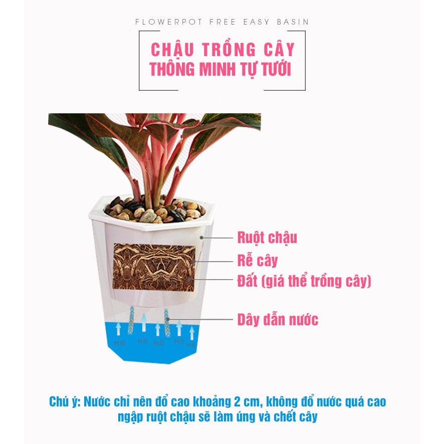 Chậu cây nhựa tự tưới nước cho cây cảnh nội thất, cây hoa cảnh, cây văn phòng, Chậu trồng cây thông minh tự tưới nước