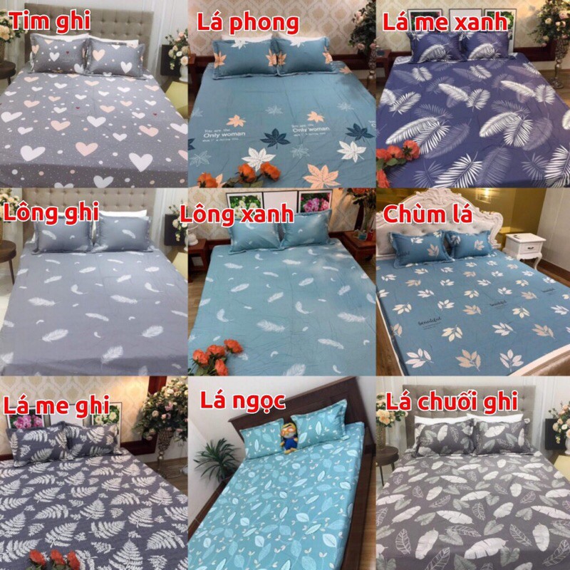 Bộ Ga gối Cotton cao cấp, ga giường đủ size, có bán lẻ ga, gối, chăn