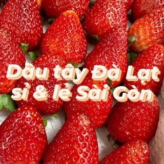 Dâu tây Đà Lạt Sài Gòn