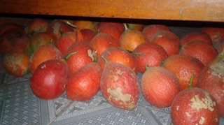 Tinh dầu gấc