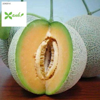 Hạt giống Dưa Lưới Tròn 10 Hạt