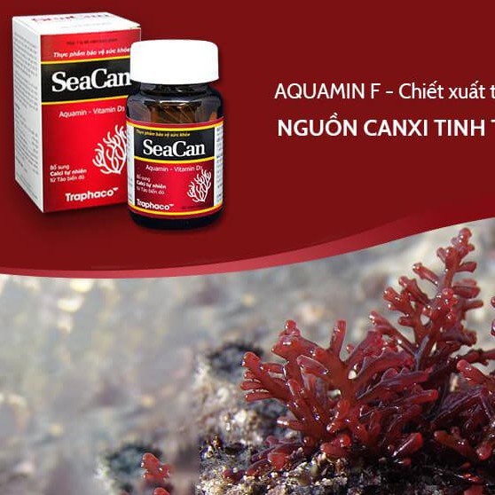 Viên uống Seacan - Hỗ trợ giúp xương khớp chắc khỏe từ canxi tự nhiên (Lọ 60 viên)