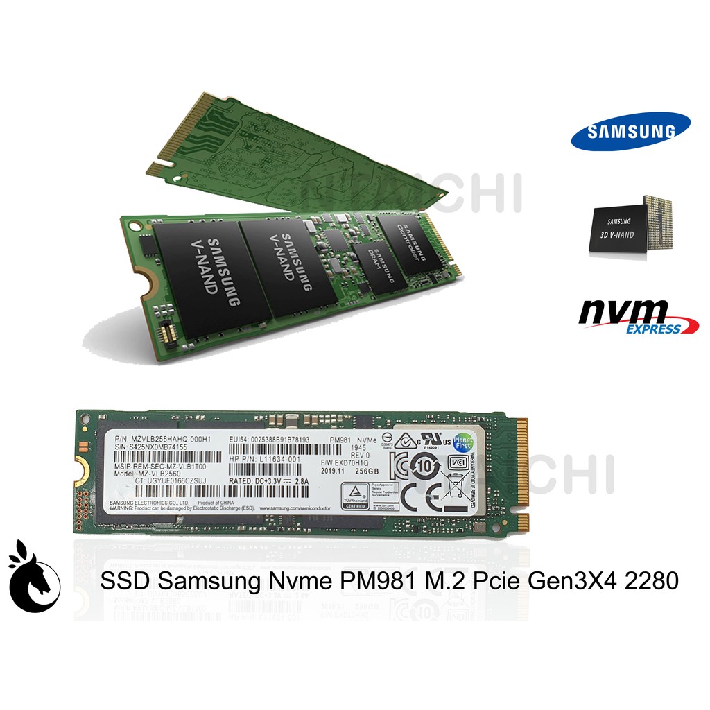 Ổ cứng SSD Samsung NVMe PM981 | PM981a M.2 Pcie Gen3X4 2280 256GB | 512GB | 1TB