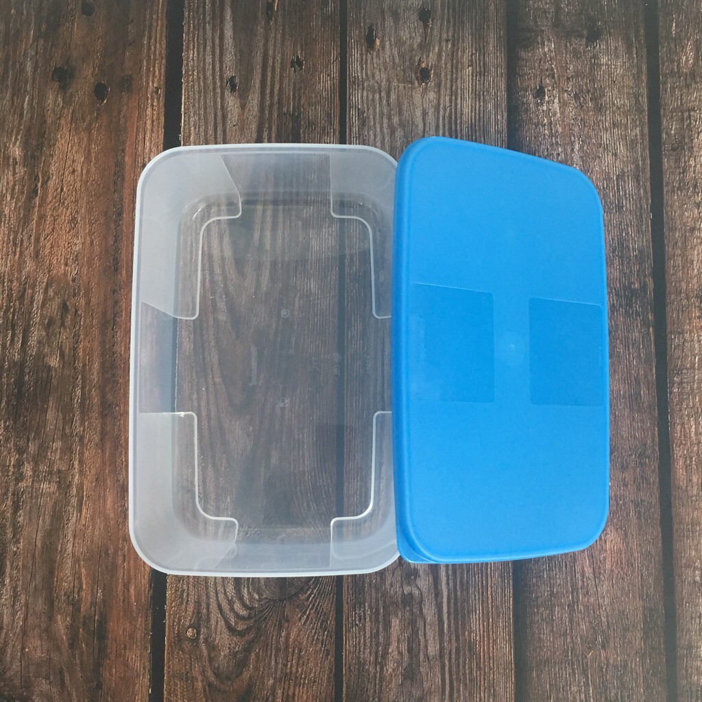 Hộp trữ đông FreezeMate 1.5L | BigBuy360 - bigbuy360.vn