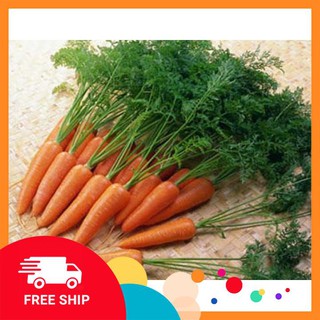 gói 10 gr giống cà rốt