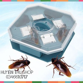 Dụng cụ băt gián thông minh hiệu quả