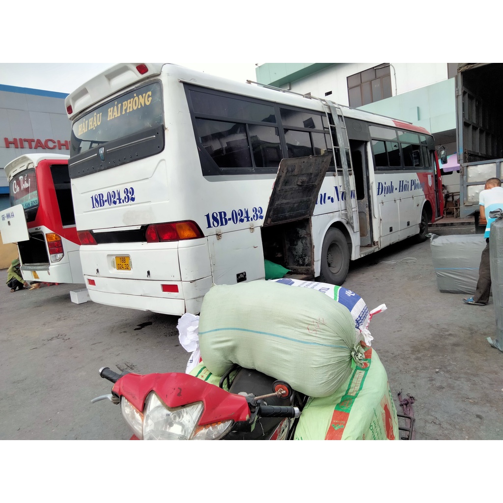 Nếp cái hoa vàng