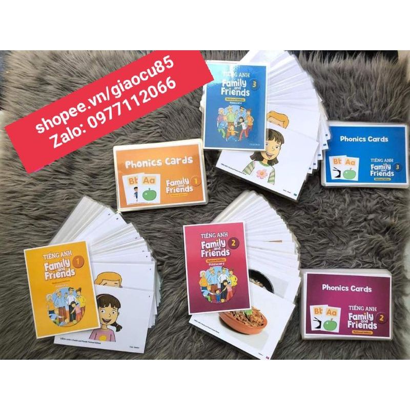 FLASHCARD FAMILY AND FRIENDS 1,2,3,4 Ép Plastic