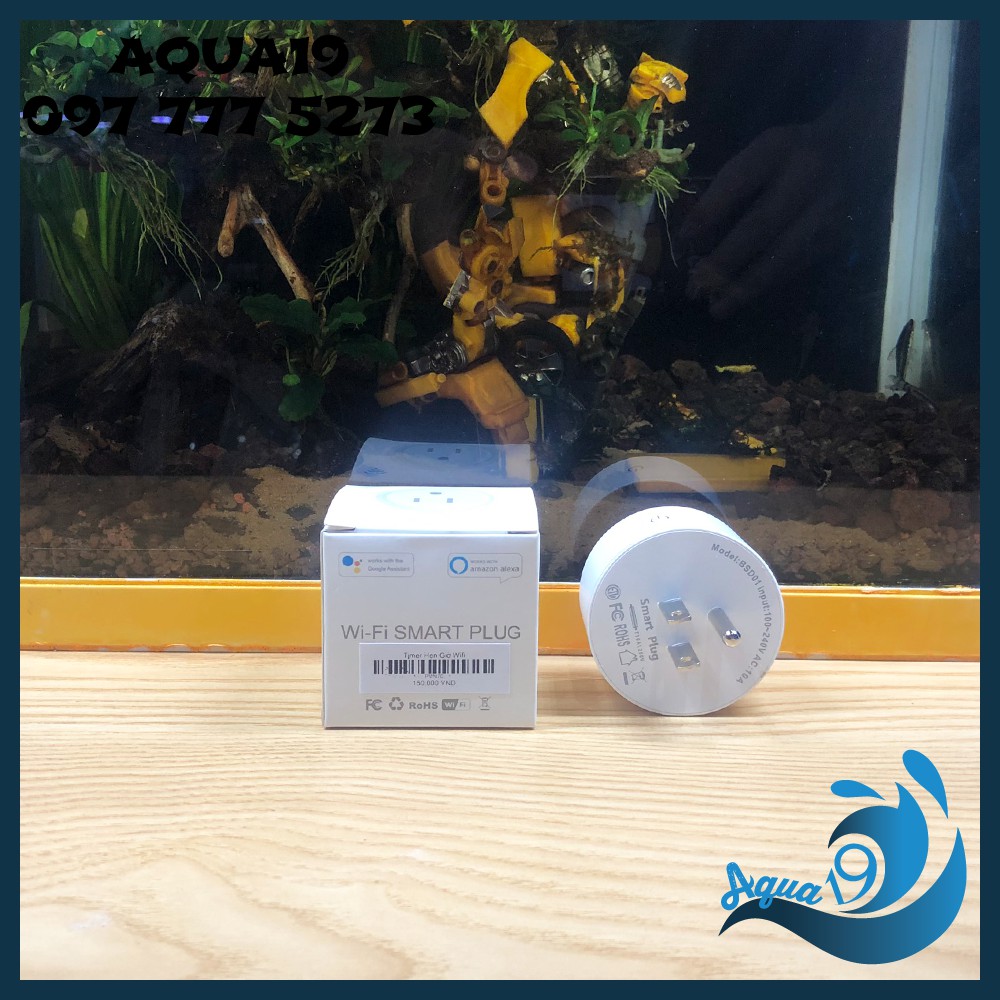 Timer Hẹn Giờ Wifi