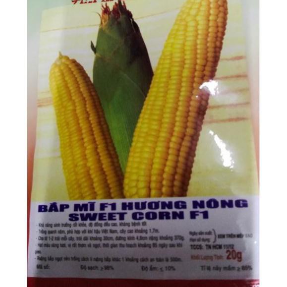 HẠT GIỐNG BẮP MỸ F1 VÀNG - GÓI 20 Hạt