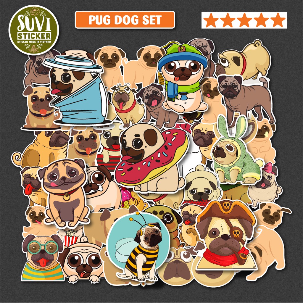 50 Sticker Chó Pug chống nước sticker dán laptop, điện thoại, đàn guitar, mũ bảo hiểm, vali. MSP: SV129