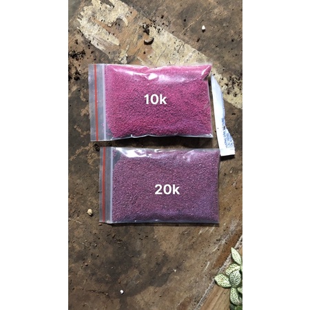 Thuốc tím trị rệp cho sen đá