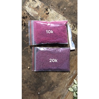 Thuốc tím trị rệp cho sen đá