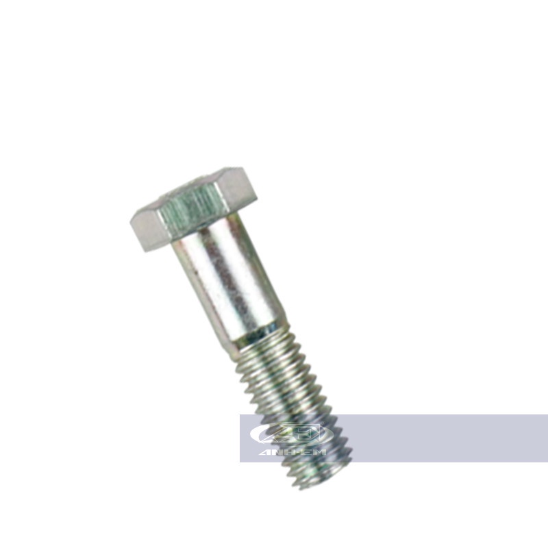 Ốc dĩa thắng   RGV120-0338