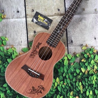 Ukulele concert