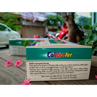 Combo  2 men colibacter (date mới nhất thị trường)